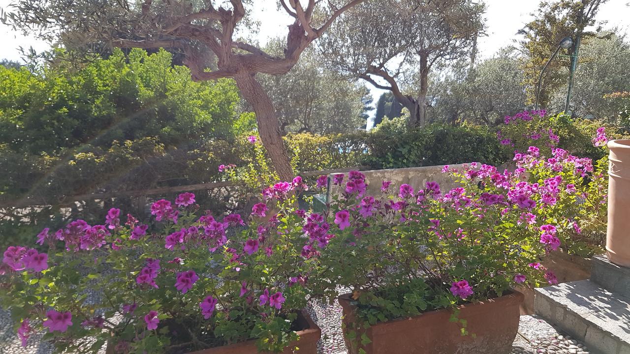 Il Rifugio B&B Capri Anacapri  Exterior foto